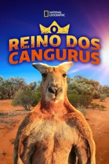 O Reino dos Cangurus