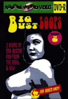 Big Bust Loops Volume 2