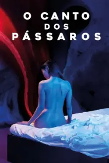 O Canto dos Pássaros