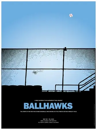 Ballhawks