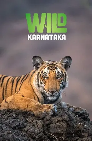 Wild Karnataka