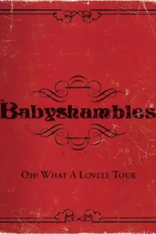 Oh! What a Lovely Tour - Babyshambles Live