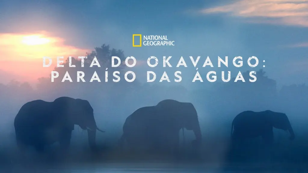 Delta do Okavango: Paraíso das Águas