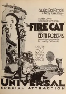 The Fire Cat