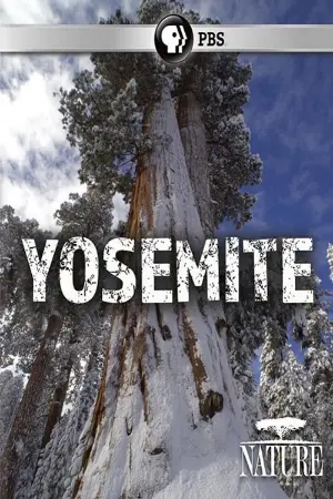 Nature: Yosemite