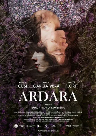 Ardara