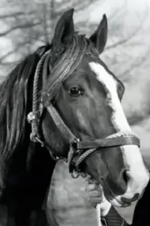 Champion Jr. como: Champ - Gene's horse