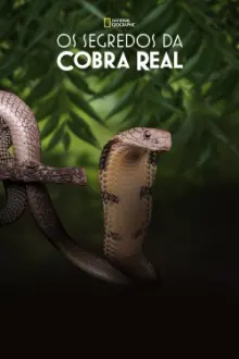 Os Segredos da Cobra Real