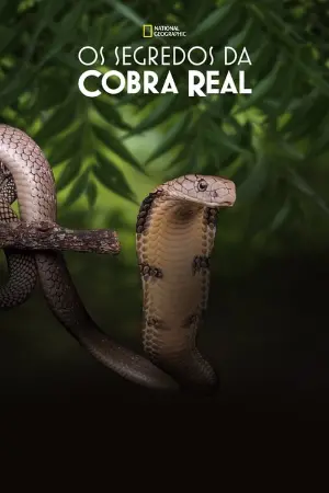 Os Segredos da Cobra Real