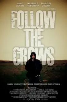 Follow the Crows