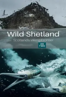 Wild Shetland: Scotland's Viking Frontier