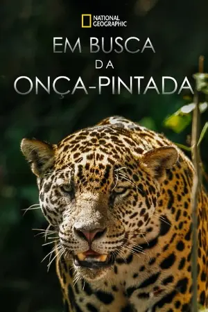 Em Busca da Onça-Pintada