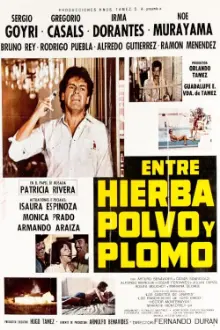 Entre hierba, polvo y plomo