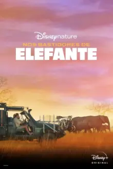 Nos Bastidores de Elefante