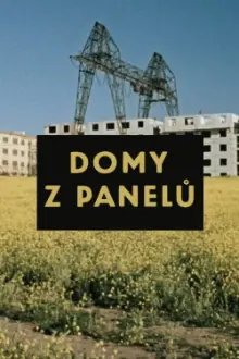 Domy z panelů