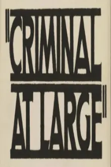 A Criminal at Large