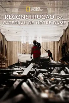 Reconstrução da Catedral de Notre Dame