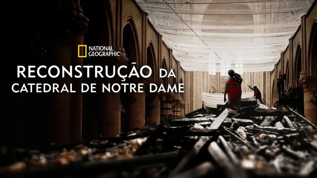 Reconstrução da Catedral de Notre Dame