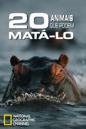 Os 20 Animais que Podem Matá-lo