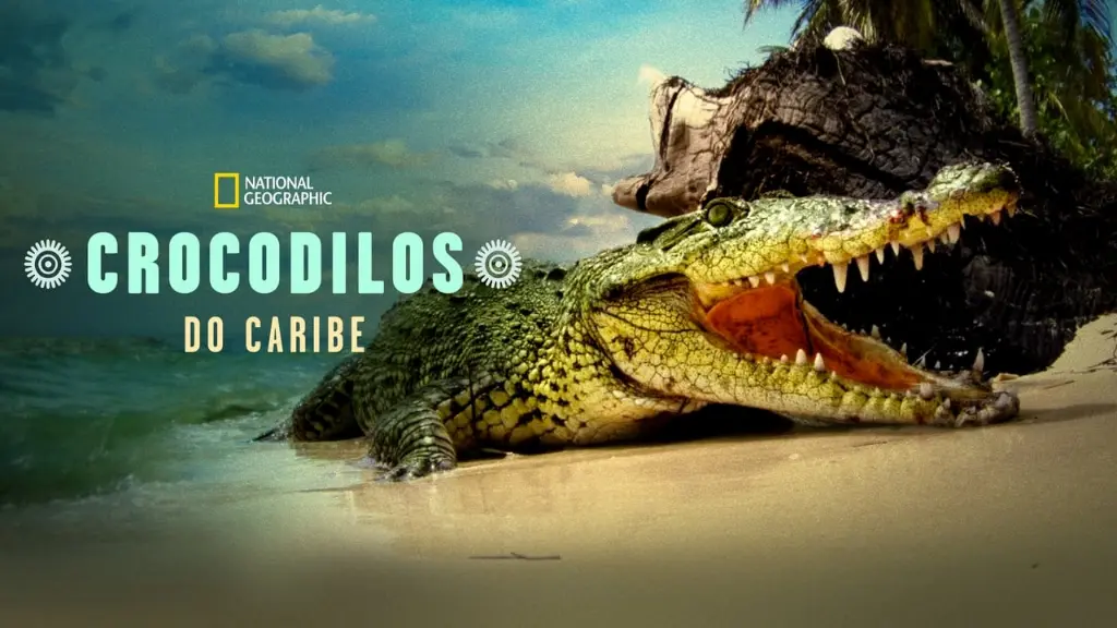 Crocodilos do Caribe