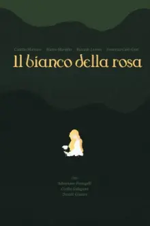 il bianco della rosa