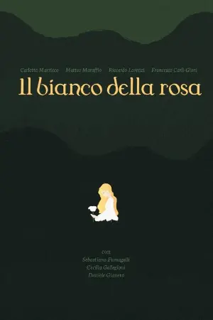 il bianco della rosa