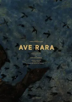 Ave Rara