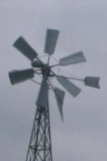 The Windmill