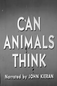 Can Animals Think