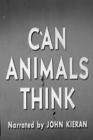 Can Animals Think