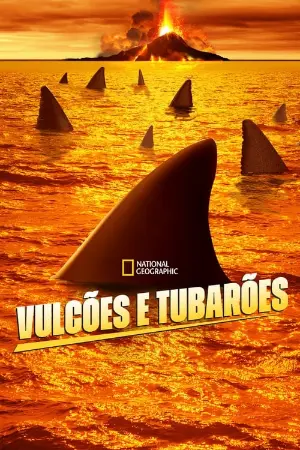 Vulcões e Tubarões