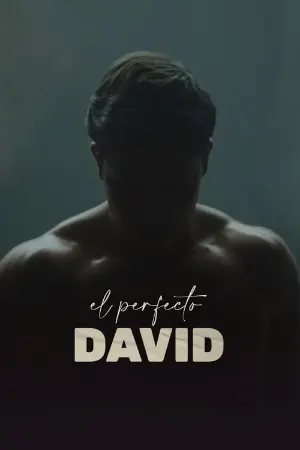 The Perfect David