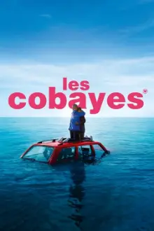 Les Cobayes