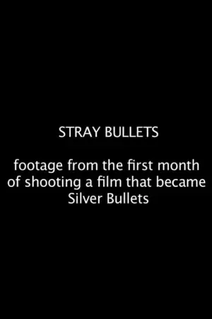 Stray Bullets