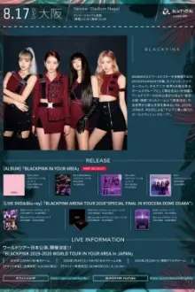 BLACKPINK at A-NATION in Osaka Japan