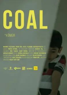 Coal