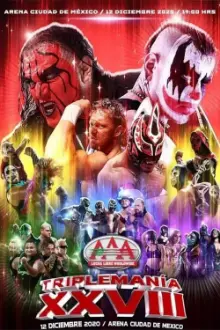 AAA Triplemania XXVIII