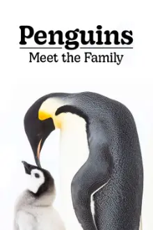 Penguins: Meet the Family