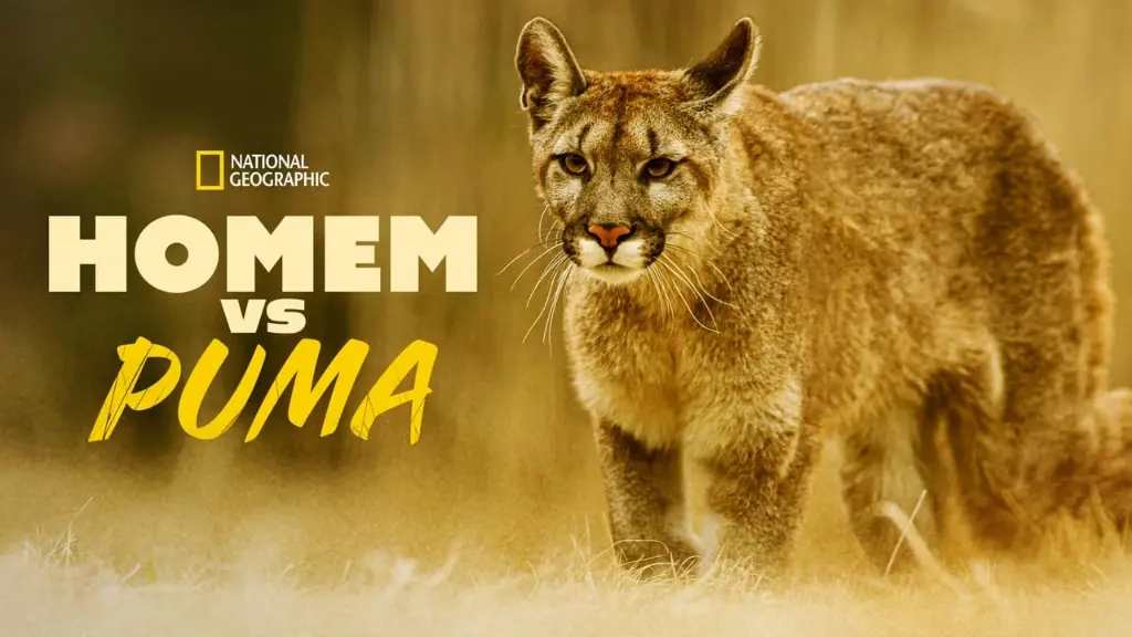 Homem Vs. Puma