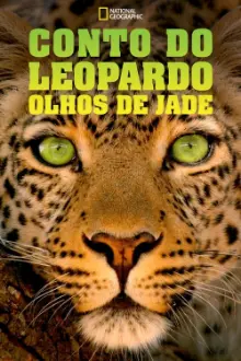 Conto do Leopardo: Olhos de Jade