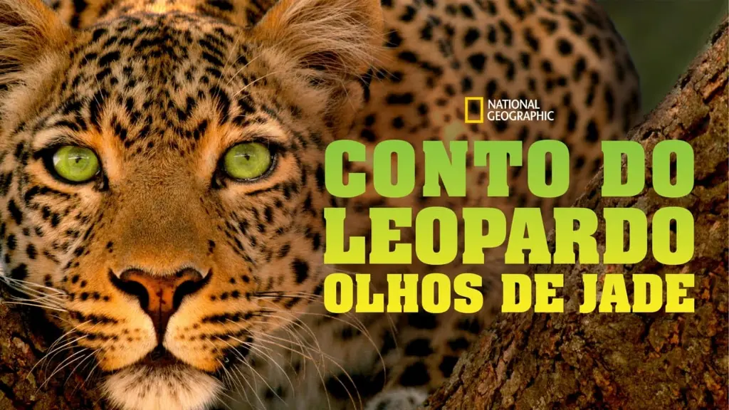 Conto do Leopardo: Olhos de Jade