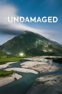 The Undamaged