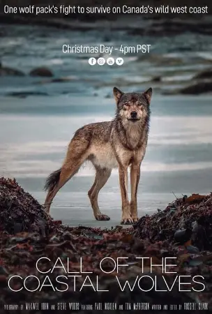 Call Of The Coastal Wolves