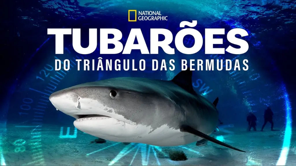 Tubarões do Triângulo das Bermudas