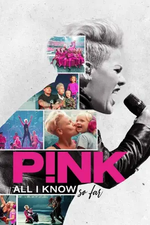 P!NK: Tudo Que Aprendi Até Agora