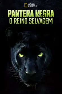 Pantera Negra: O Reino Selvagem