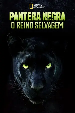 Pantera Negra: O Reino Selvagem