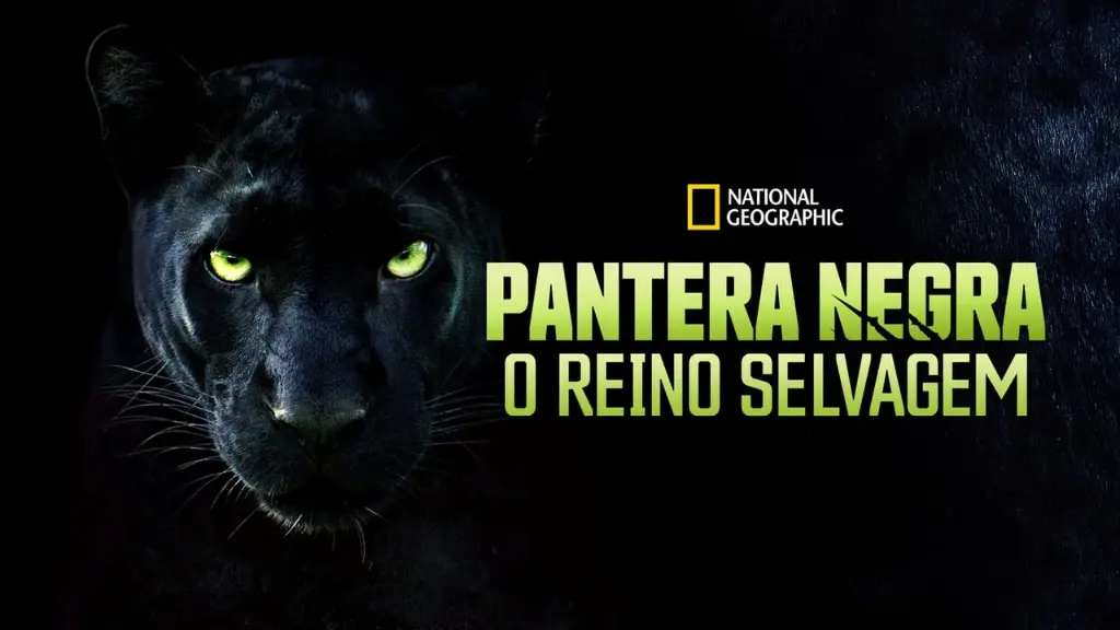 Pantera Negra: O Reino Selvagem