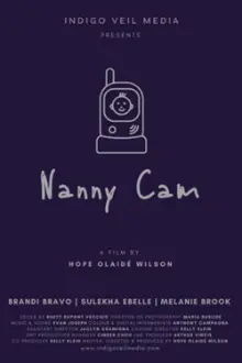 Nanny Cam