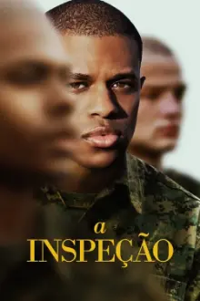 A Inspeção